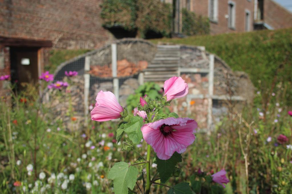 La Ferme Du Pre Charmant Villa Grandhan ภายนอก รูปภาพ